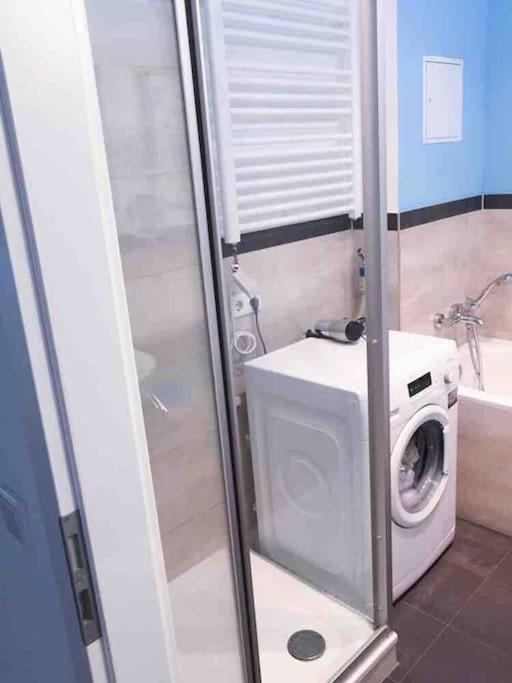 Loft Mit 2 Terrassen - Ruhig&Sonnig Lägenhet Leipzig Exteriör bild